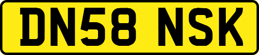 DN58NSK