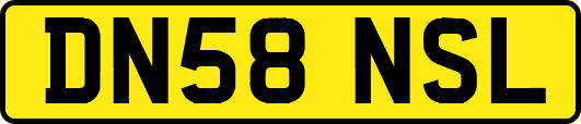 DN58NSL
