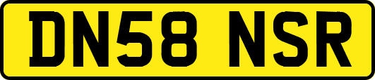 DN58NSR