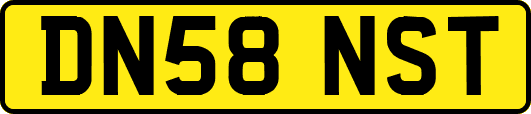 DN58NST