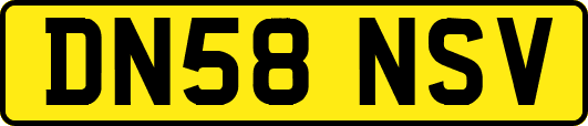 DN58NSV