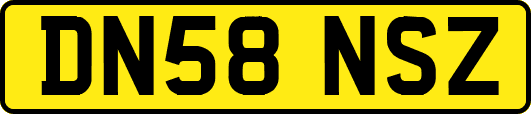 DN58NSZ