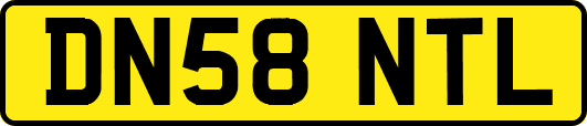 DN58NTL
