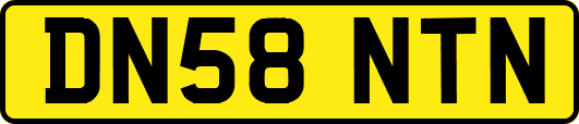 DN58NTN