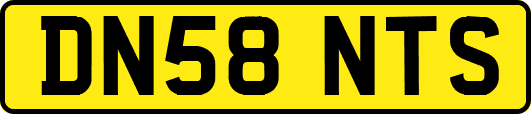 DN58NTS