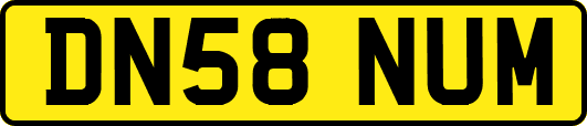 DN58NUM