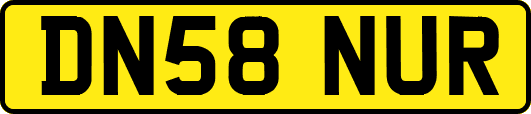 DN58NUR