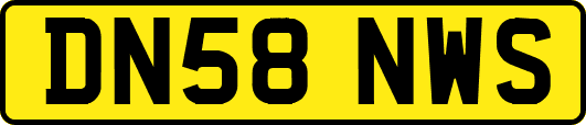DN58NWS