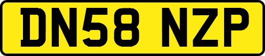 DN58NZP