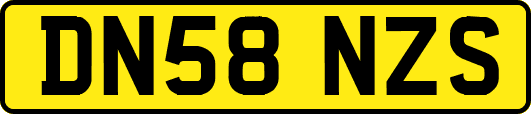 DN58NZS