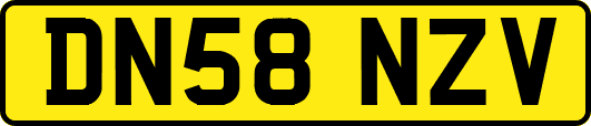 DN58NZV