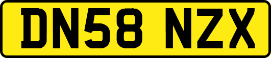 DN58NZX