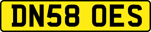 DN58OES
