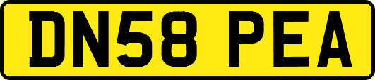 DN58PEA