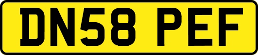 DN58PEF