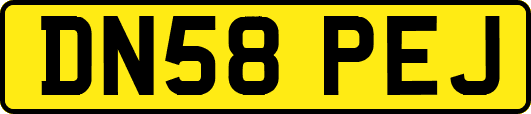 DN58PEJ