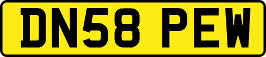 DN58PEW