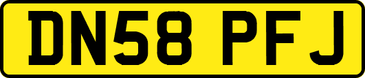 DN58PFJ