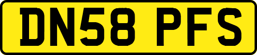 DN58PFS