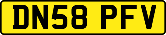 DN58PFV