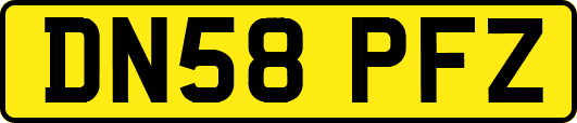 DN58PFZ