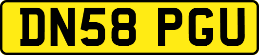 DN58PGU