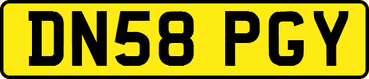 DN58PGY