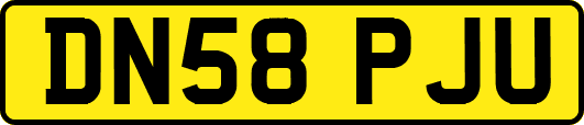 DN58PJU
