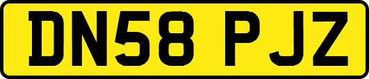 DN58PJZ