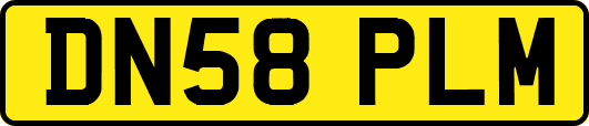 DN58PLM