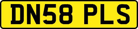 DN58PLS