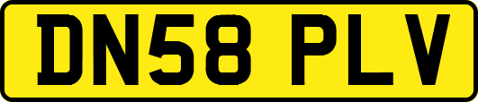 DN58PLV