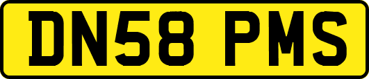 DN58PMS