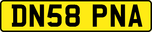 DN58PNA