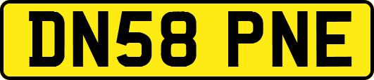 DN58PNE