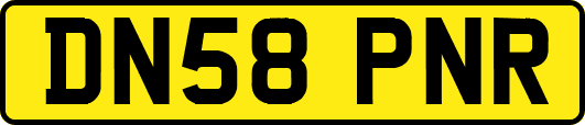DN58PNR