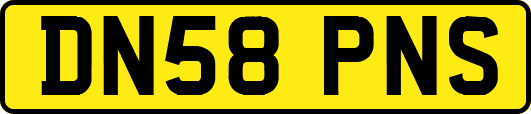DN58PNS