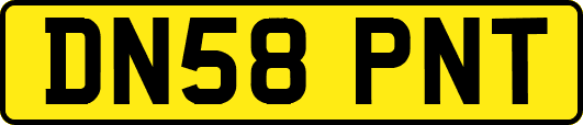 DN58PNT