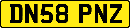 DN58PNZ