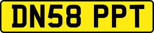 DN58PPT