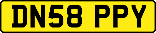 DN58PPY