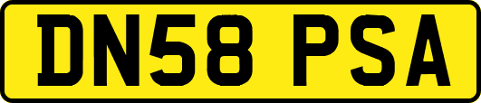 DN58PSA
