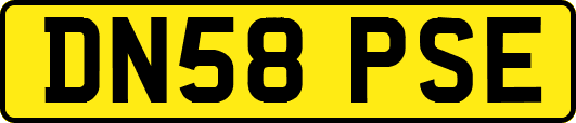 DN58PSE