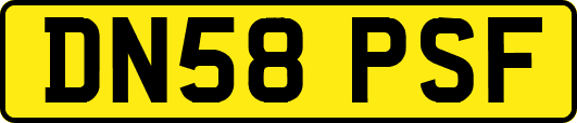 DN58PSF