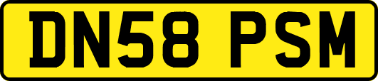 DN58PSM