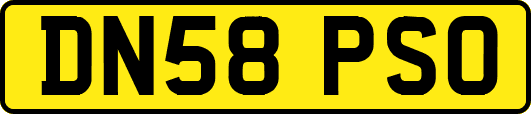DN58PSO