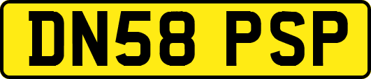 DN58PSP
