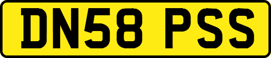 DN58PSS
