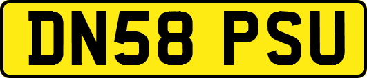 DN58PSU