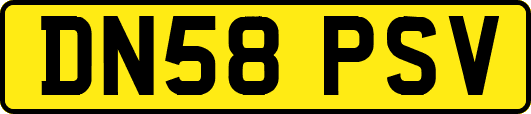 DN58PSV